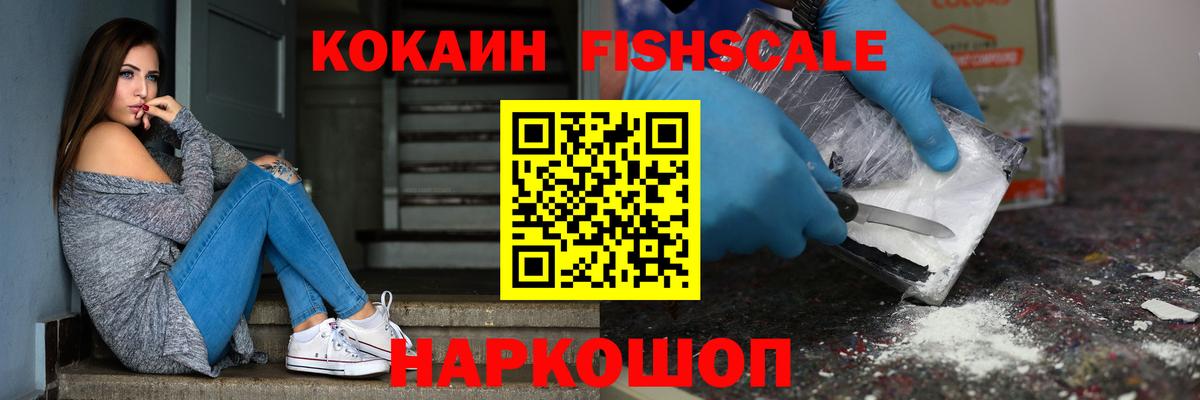 COCAIN Fish Scale  Вход с VPN  Тула 